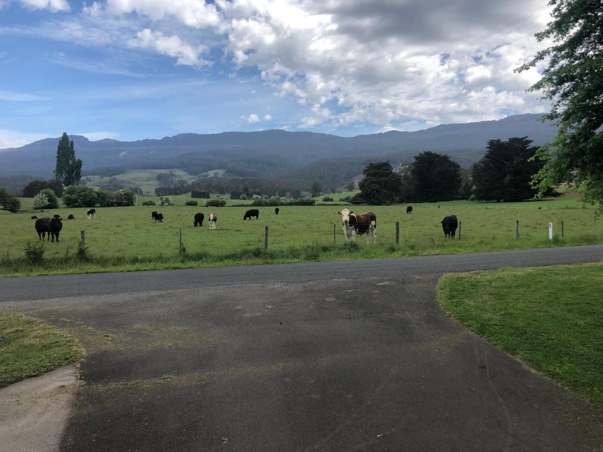 Mole Creek Hideaway Hotel Exterior photo
